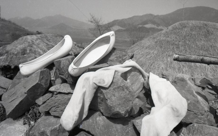 김운기 컬렉션이미지