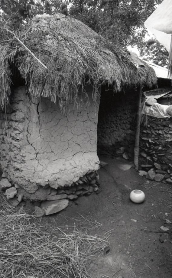 김운기 컬렉션이미지