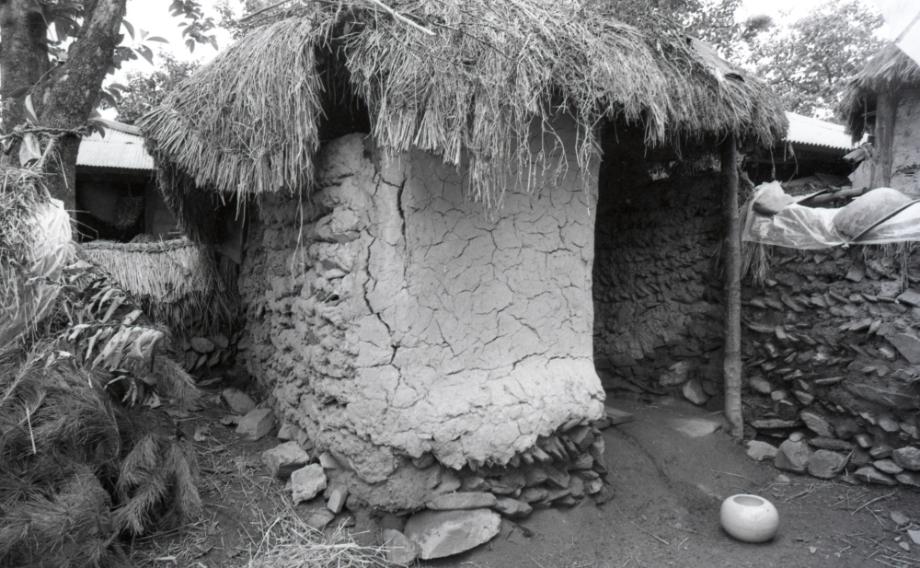 김운기 컬렉션이미지