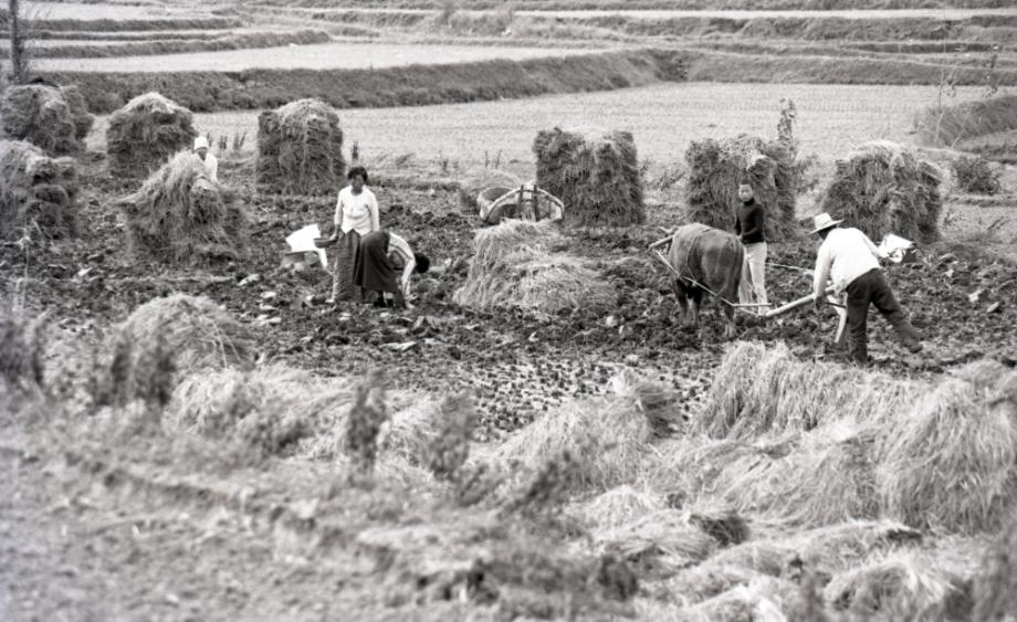 김운기 컬렉션이미지