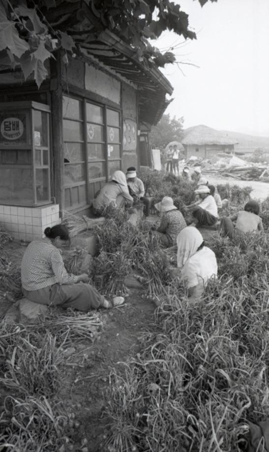 김운기 컬렉션이미지