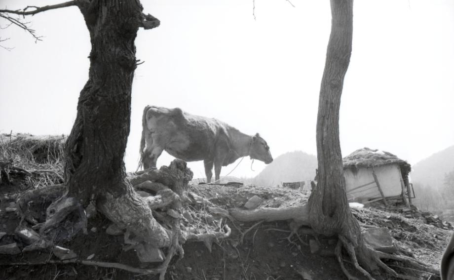 김운기 컬렉션이미지