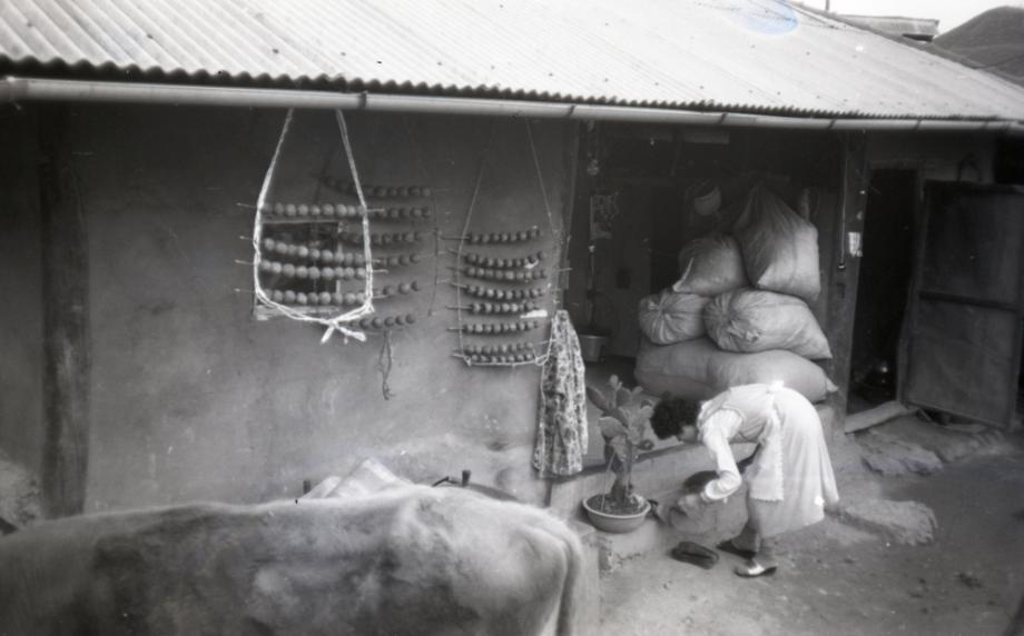 김운기 컬렉션이미지