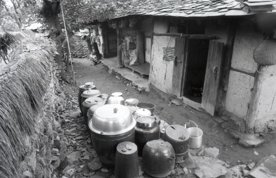 김운기 컬렉션이미지