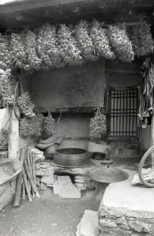 김운기 컬렉션이미지