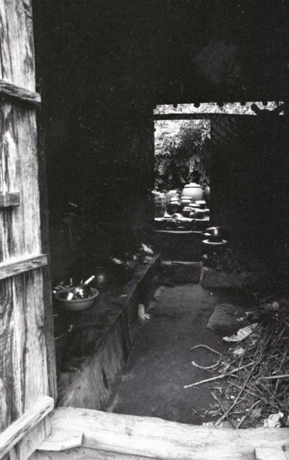 김운기 컬렉션이미지