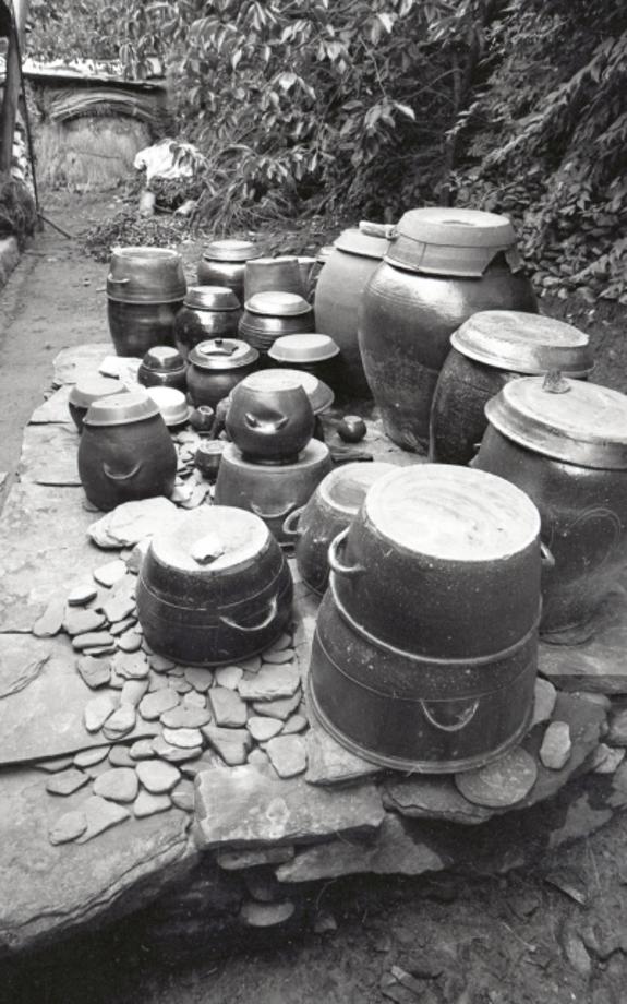 김운기 컬렉션이미지