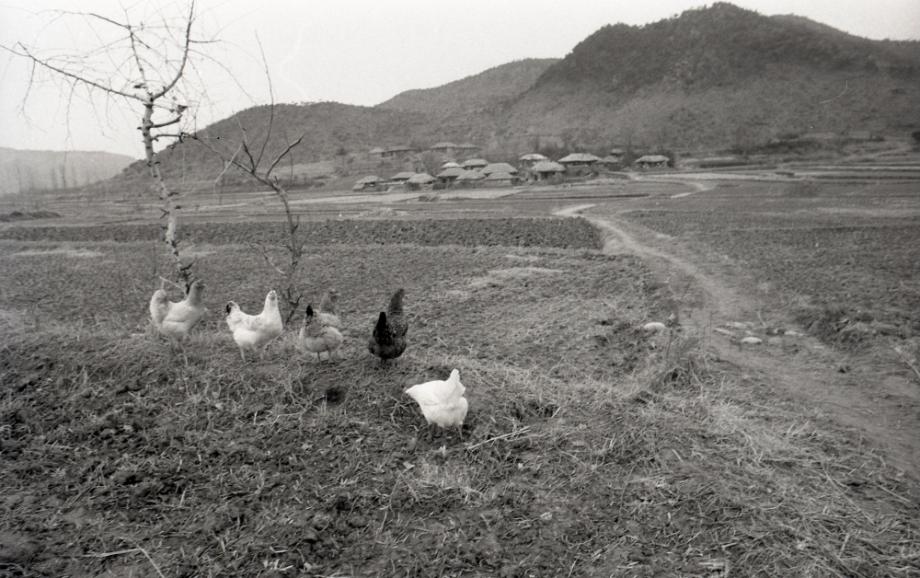 김운기 컬렉션이미지