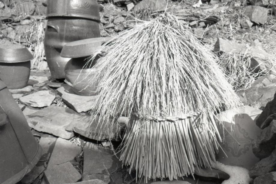 김운기 컬렉션이미지