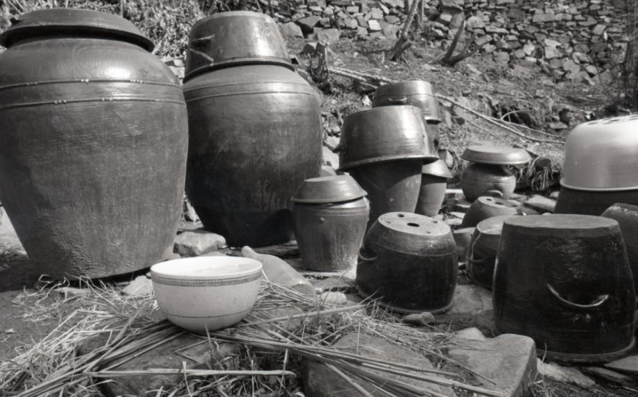 김운기 컬렉션이미지