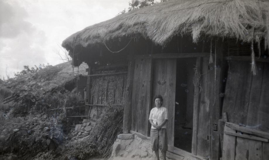 김운기 컬렉션이미지