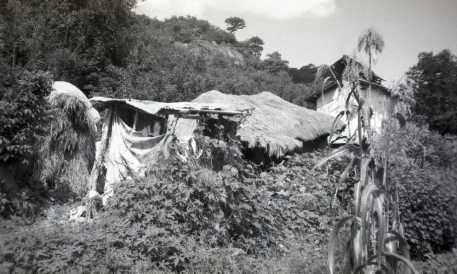 김운기 컬렉션이미지