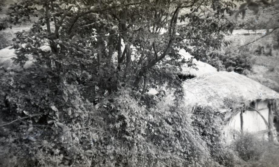 김운기 컬렉션이미지