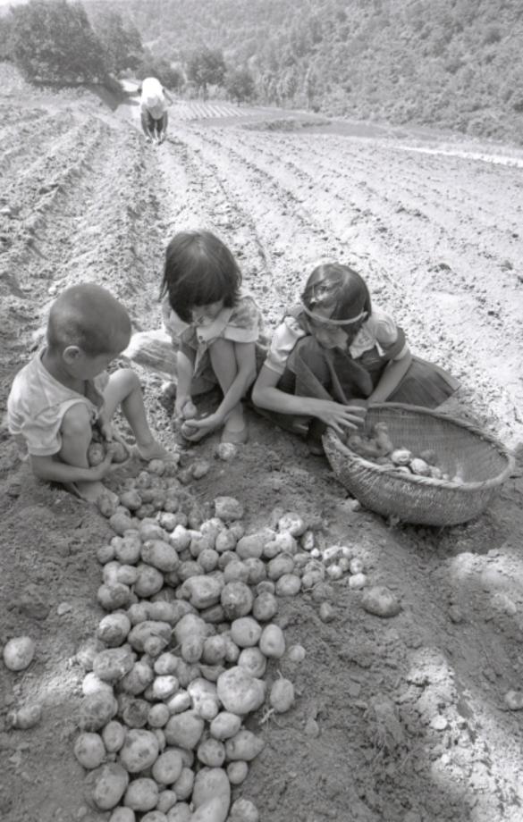 김운기 컬렉션이미지