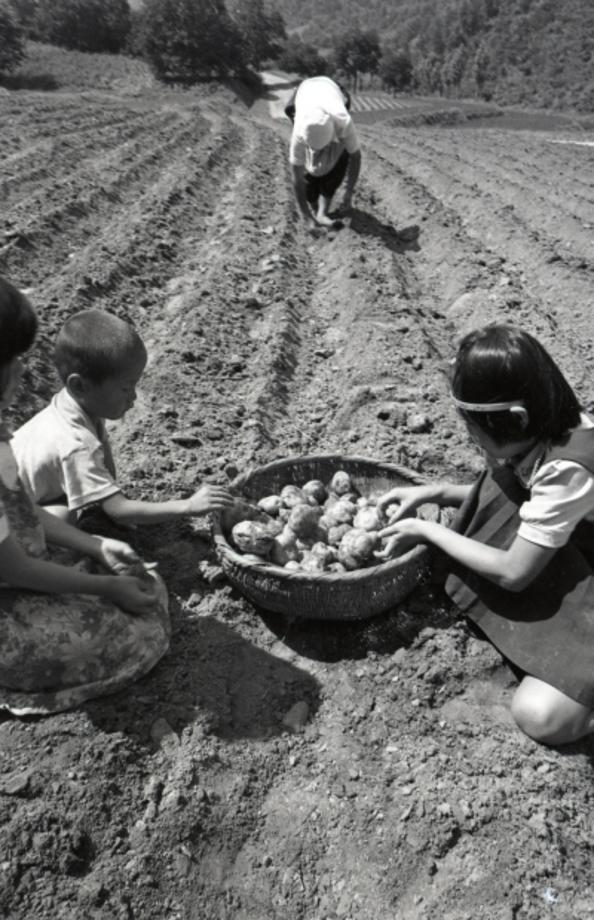 김운기 컬렉션이미지