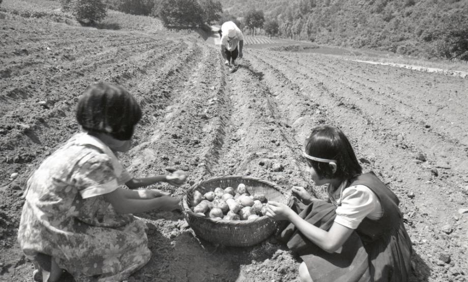 김운기 컬렉션이미지