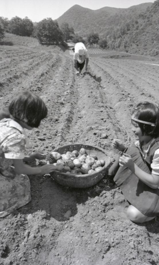 김운기 컬렉션이미지