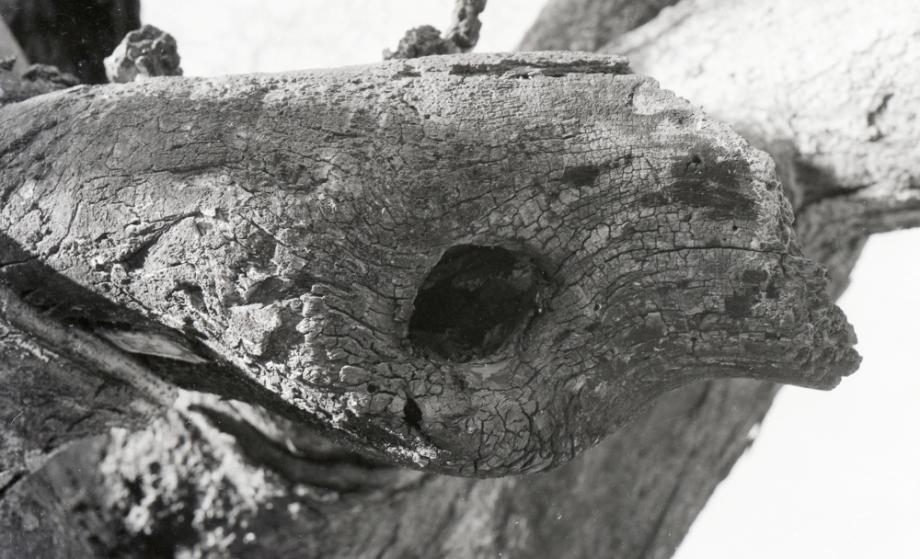 김운기 컬렉션이미지