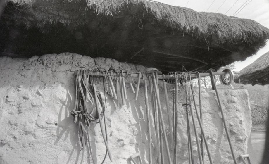 김운기 컬렉션이미지