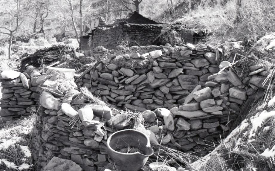 김운기 컬렉션이미지