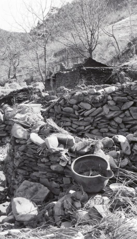 김운기 컬렉션이미지