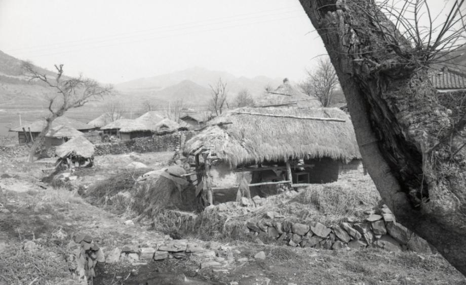 김운기 컬렉션이미지