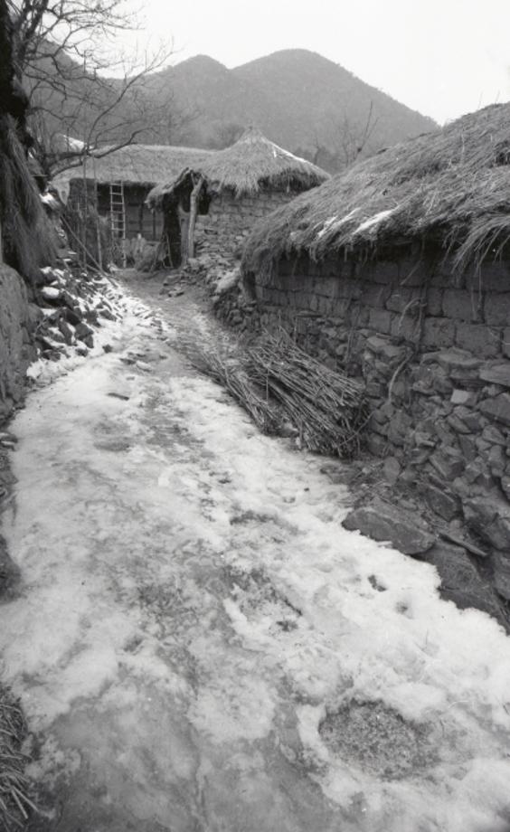 김운기 컬렉션이미지