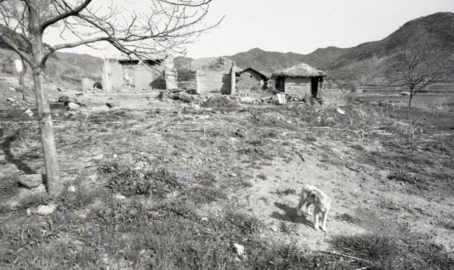 김운기 컬렉션이미지