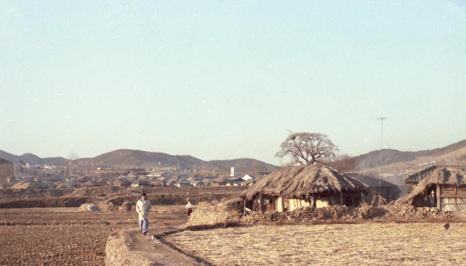 김운기 컬렉션이미지