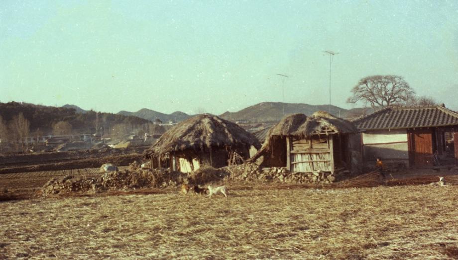 김운기 컬렉션이미지