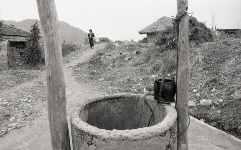 김운기 컬렉션이미지