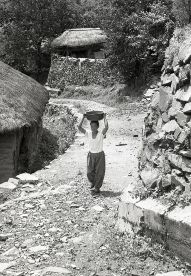 김운기 컬렉션이미지