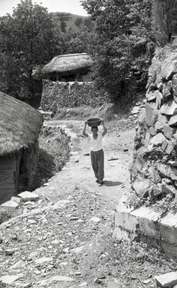 김운기 컬렉션이미지