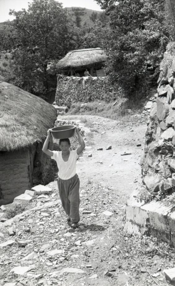 김운기 컬렉션이미지