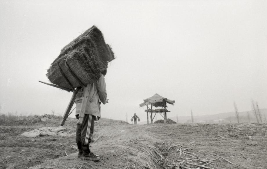 김운기 컬렉션이미지