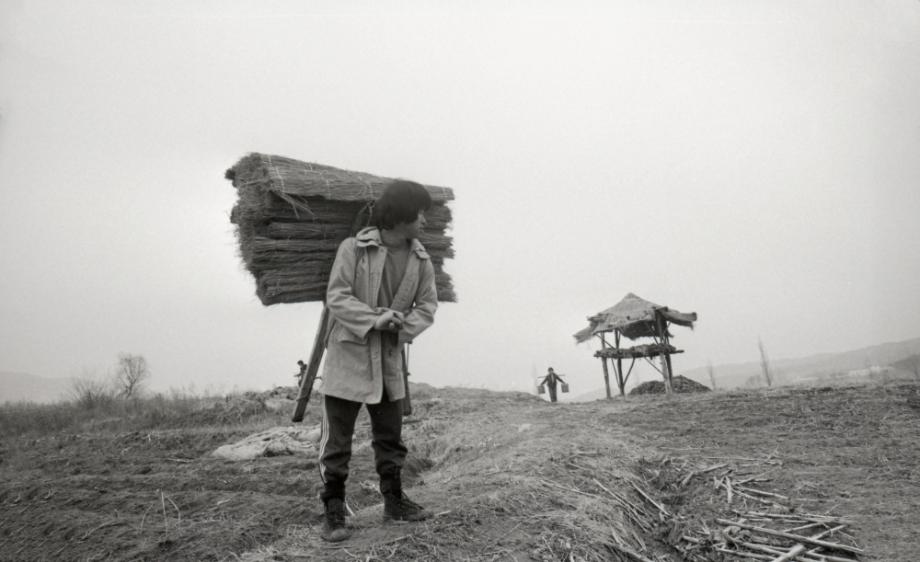 김운기 컬렉션이미지