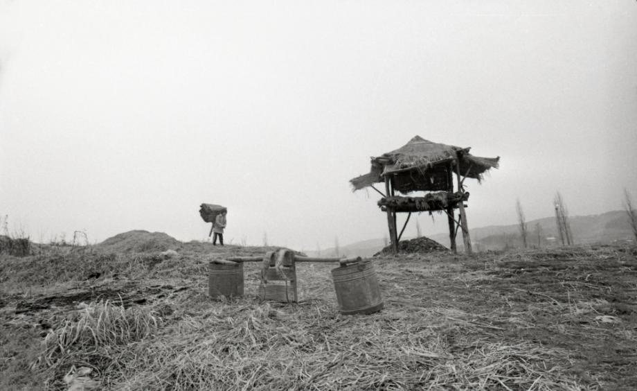 김운기 컬렉션이미지