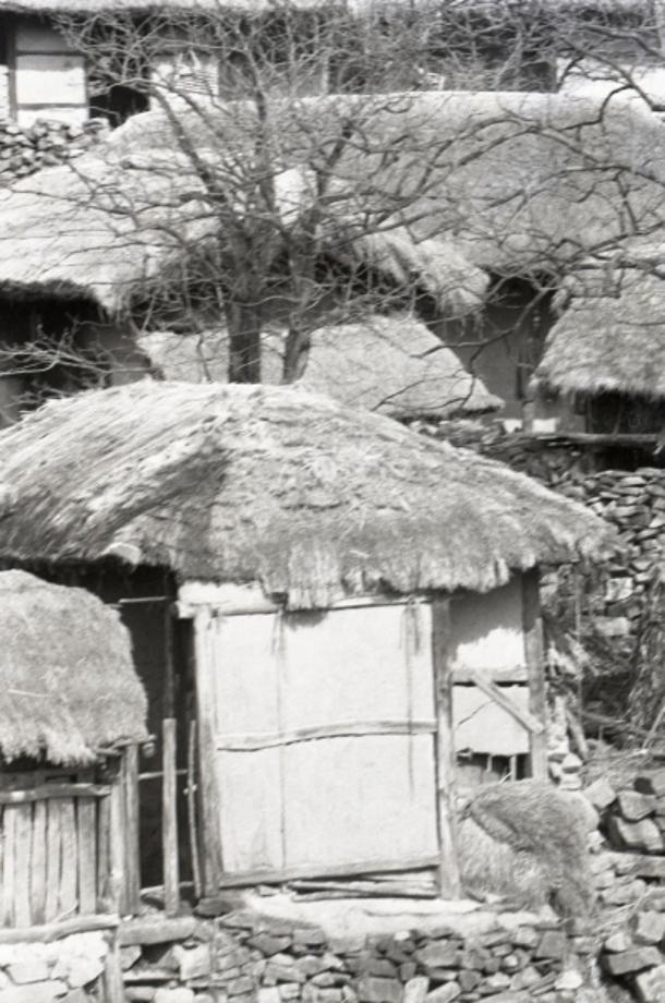 김운기 컬렉션이미지