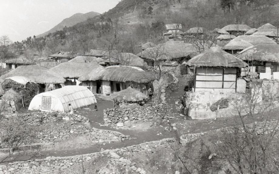 김운기 컬렉션이미지