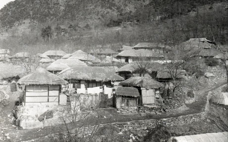 김운기 컬렉션이미지