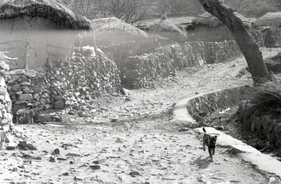 김운기 컬렉션이미지