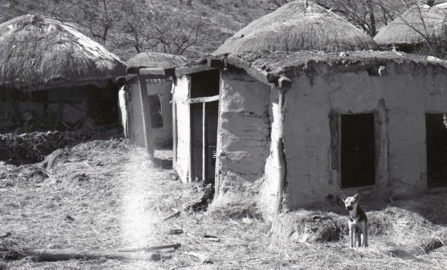 김운기 컬렉션이미지