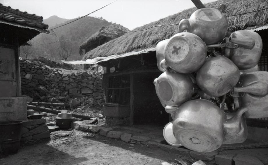 김운기 컬렉션이미지