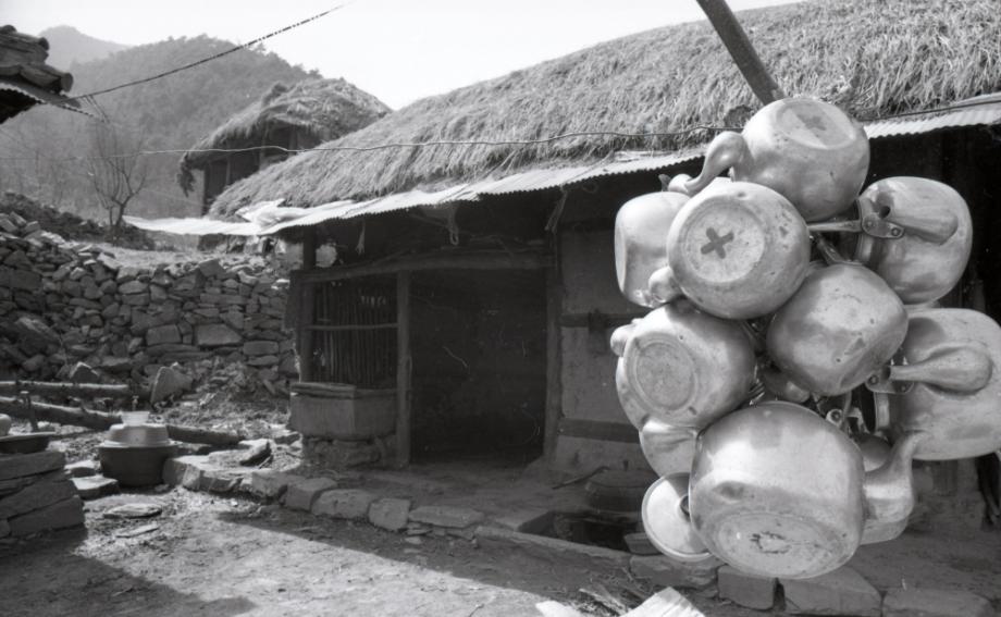 김운기 컬렉션이미지