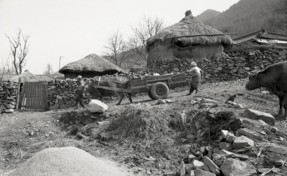 김운기 컬렉션이미지
