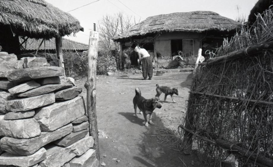 김운기 컬렉션이미지