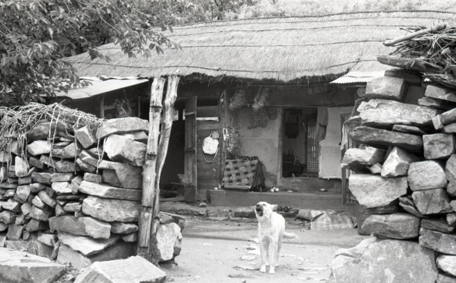 김운기 컬렉션이미지