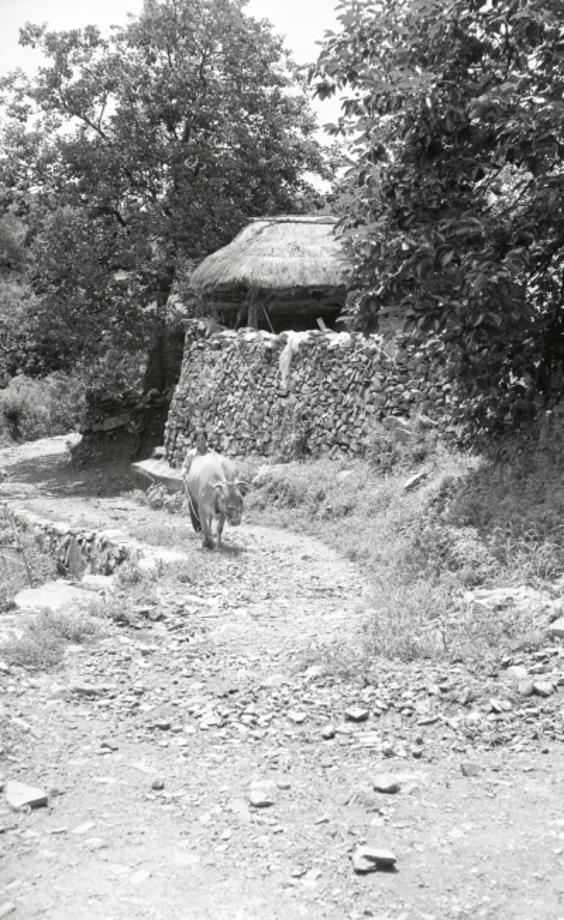 김운기 컬렉션이미지