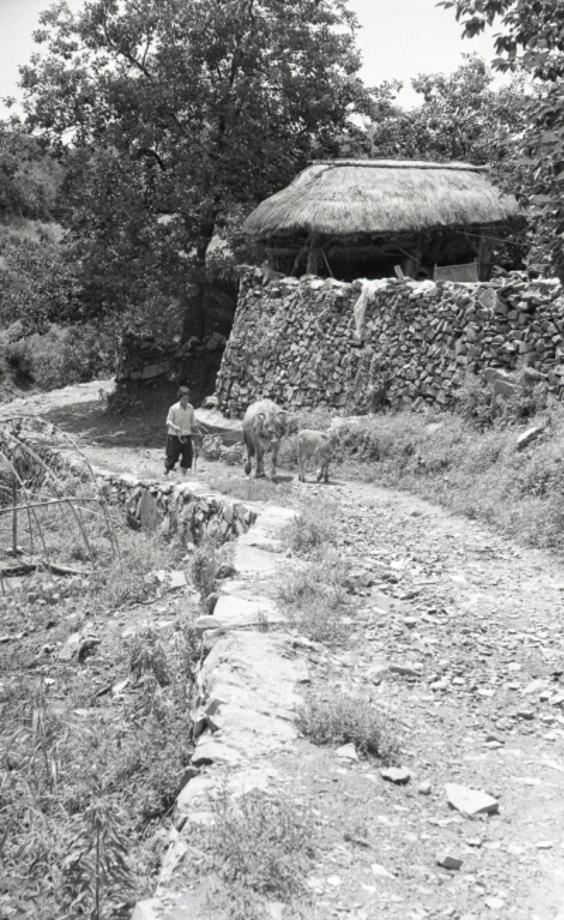 김운기 컬렉션이미지