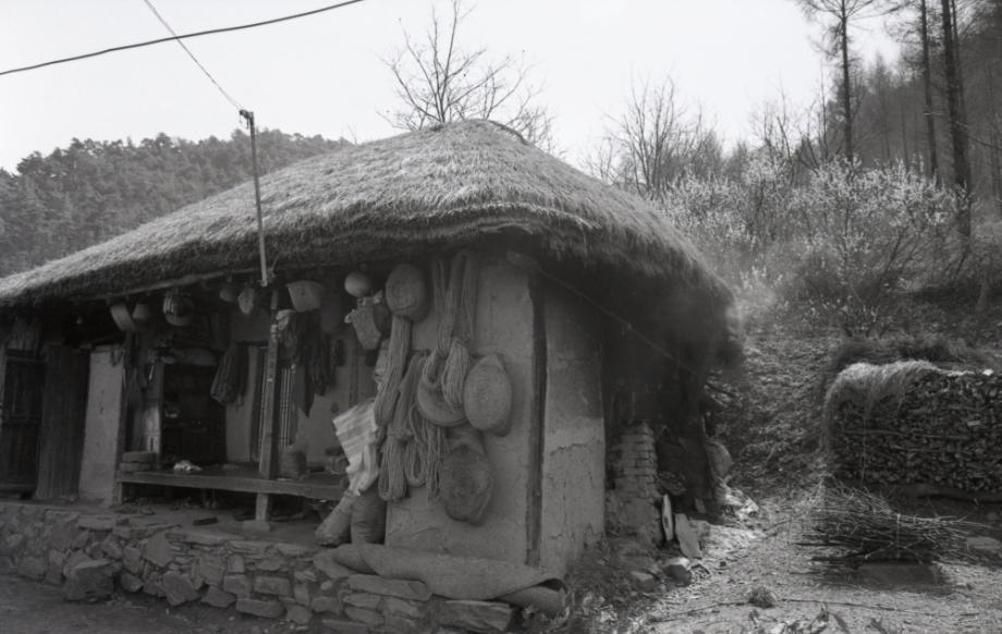 김운기 컬렉션이미지